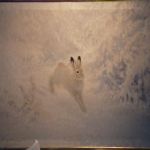 133 1049 Oljemålning 